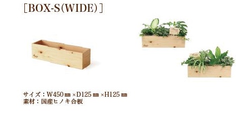 クレスト S-WIDEサイズ ボックス型グリーン